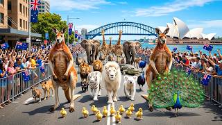 REAL ANIMAL PARADE IN AUSTRALIA 2026 🇦🇺 | Kangaroos &amp; Wild Animals Take Over the Streets 4K