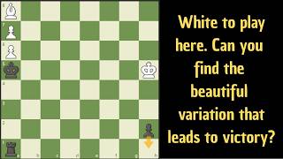 A very cool chess study!