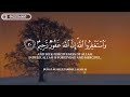 قصة القارئ عبد الرحمن مسعد من ضياع الطفولة إلى قمة الإبداع