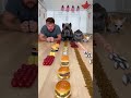 I Tried To Enjoy Bro Reminded Me Who Rules The Table Dog Cat Eatingchallenge Food Pets