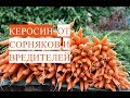 Прополка Моркови Керосином. Керосин от Сорняков и Вредителей. (03.06.17)