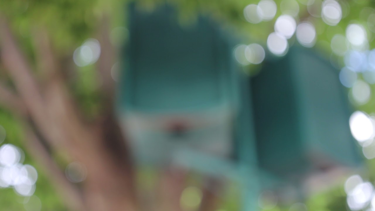 에버랜드 여름시즌 글로벌페어 BGM (주간)