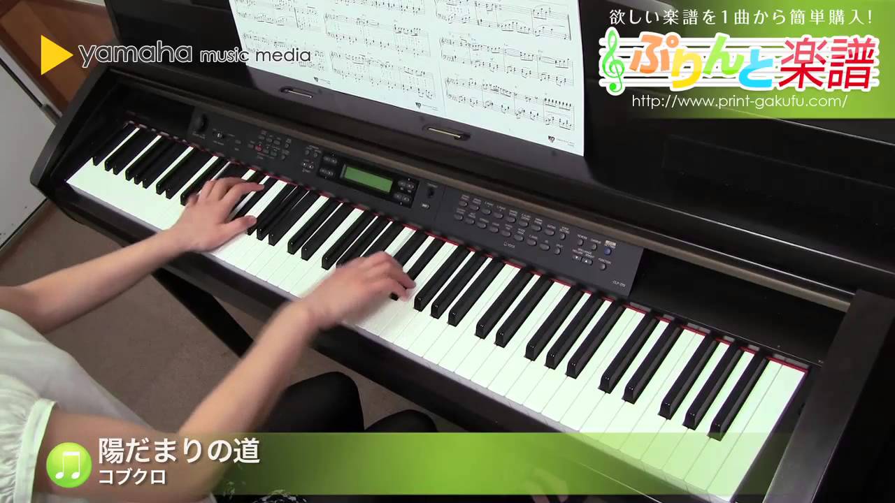 陽だまりの道 コブクロ ピアノ ソロ 中級 Youtube 陽だまりの道 コブクロ ピアノ ソロ 中級 Youtube