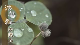 【靜思妙蓮華】法華經方便品 - 聞法除疑網 - 20200831 第444集