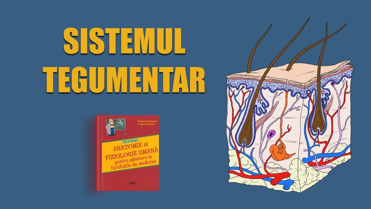 C5. Sistemul tegumentar | LIVE BARRON'S ADMITERE MEDICINĂ