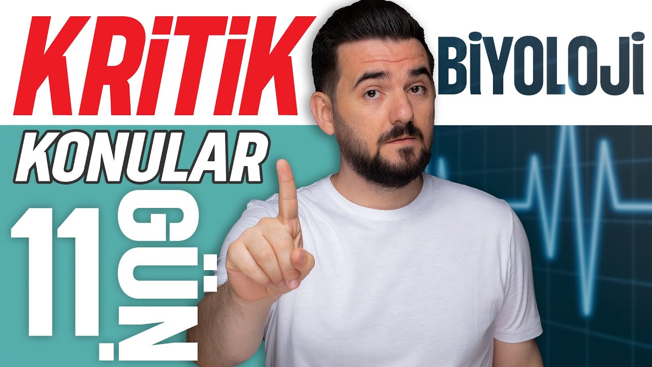 TYT biyoloji kritik konular kampı |2026 - 2027| 12 GÜNDE (Gün-11 Kalıtım-Çaprazlamalar-Kan Grupları)