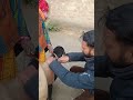 #goat#animals