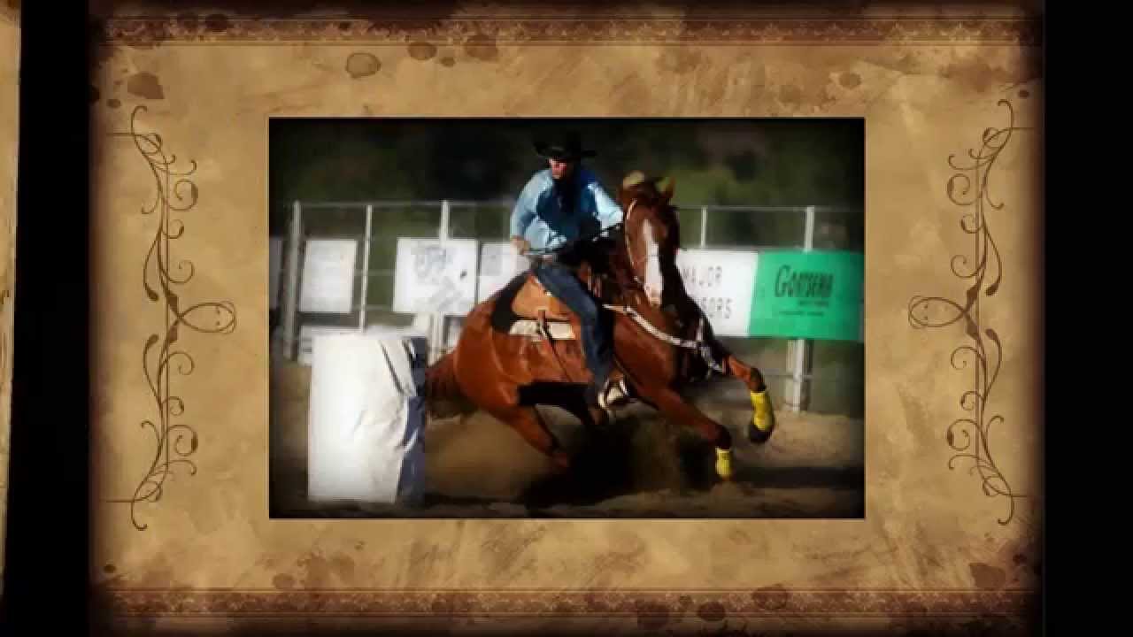 AQHA Gelding To Tru Spice 1D Barrel Racing Horse FOR SALE YouTube