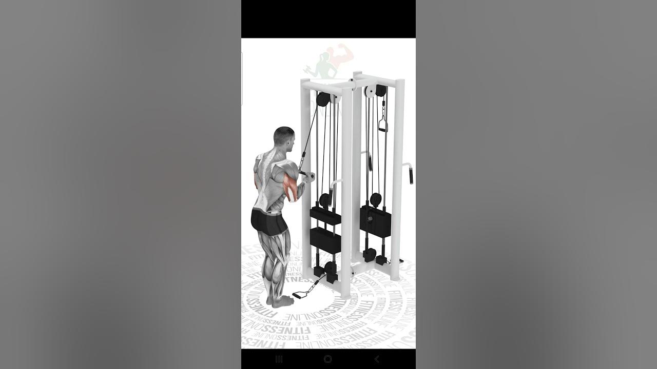 Pulley Tríceps Invertido YouTube