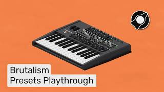 Arturia MiniBrute V | Brutalism Presets Playthrough | Analog Lab V Bank