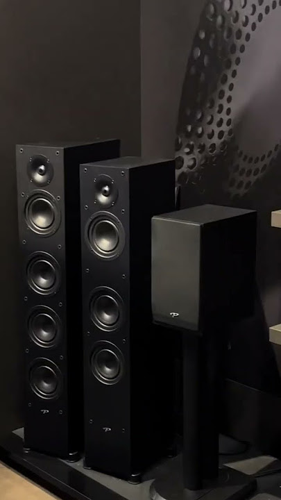 Paradigm Speaker collection in 12 seconds #shortvideo #shorts #paradigm