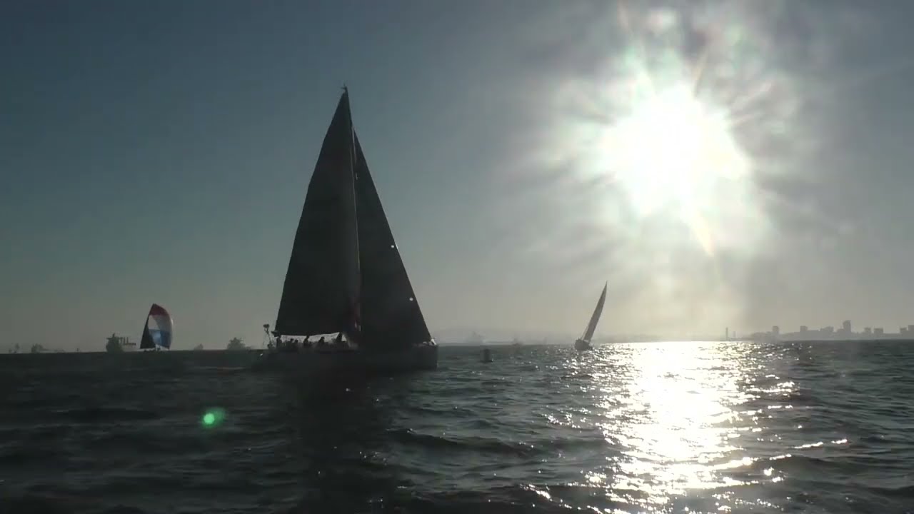 Pop Tops - 2024 - Series 2 - Race 5