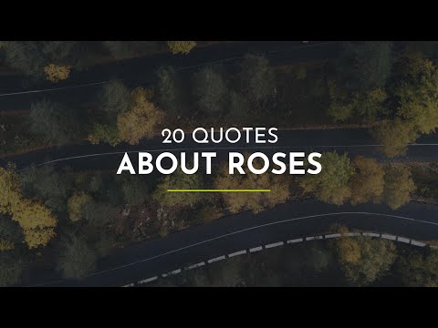 20-quotes-about-roses-~-quotes-for-whatsapp-~-goodnight-quotes