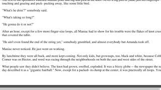 Maniac Magee Chapter 20