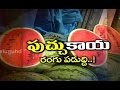 Watermelon Injected with Chemicals for Artificial Colour - Special Focus