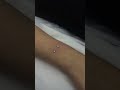 Don’t try this at home! Surface wrist piercing 💎