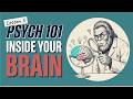 A Tour of Your Brain (Why You Procrastinate &amp; Can't Think Under Pressure)