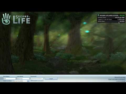 MH214 class: Logging into Second Life®