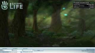 MH214 class: Logging into Second Life®