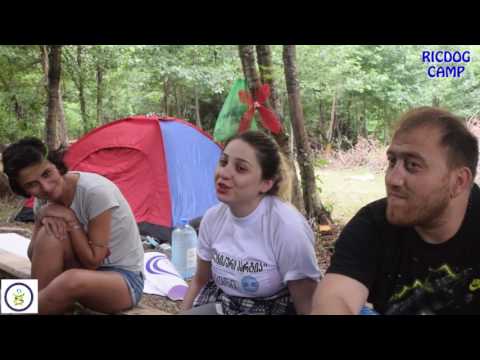 RICDOG Camp VII - თემა \'გუნდურობა\'