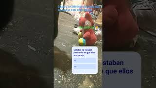 el shipeo de mi prima 🙄