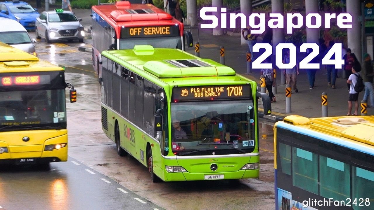 Buses in Singapore 2024