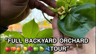 “FULL SUBURBAN BACKYARD ORCHARD ‍TOUR”