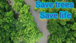 save environment save life save nature. Nature gives us life and peace to our minds❤❤#