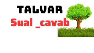 Talvar