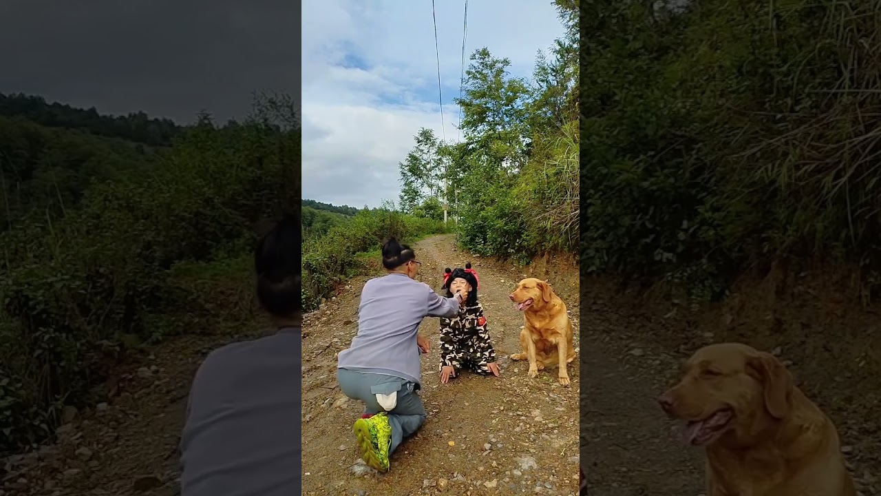 Short films, good entertainment videos every day for you #26