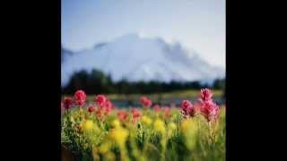 MÜZEYYEN SENAR-ÖMRÜMÜZÜN SON DEMİ