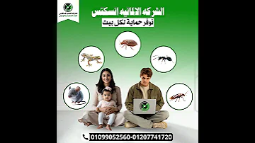 ارقام الشركه الالمانيه الاصليه لابادة الحشرات المعتمده بمصر 01099052560 01101780289 01207741720 