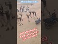 #1600 M trial Deepnagar ground bihar Sarif #runningvideo #bsfrunning #biharpolicerunning #shorts