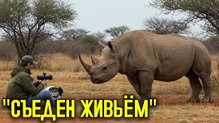 картинка: Пять Охотников, Которых Пожрала Собственная Добыча!