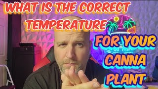 Whats the Best Temperatures for your Canna Plant