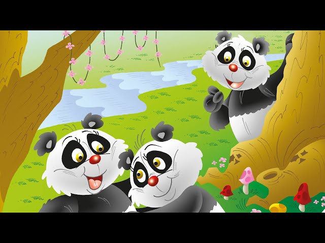 Panda Pani - 5 Masal Sorusu - Sesli Masal Dinle - Okul Öncesi Eğitim