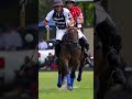 Keep on running with global polo #highspeed #horses #polo