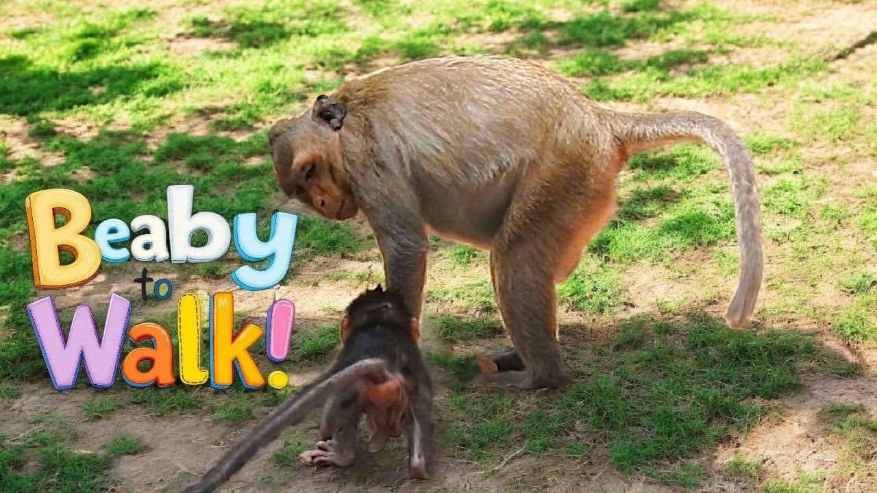 Young Mom AMAYA Teaches Baby AVERY to Walk | First Steps Full of Love