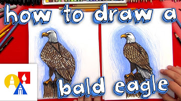 How To Draw A Realistic Bald Eagle