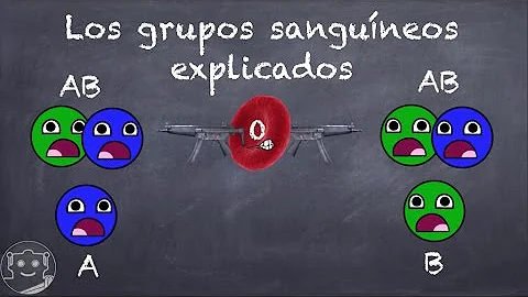 ¿Cuáles son los grupos sanguíneos según la raza?