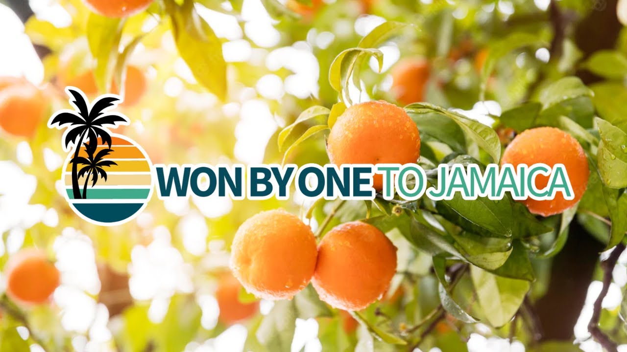WBOTJ Orange Grove YouTube