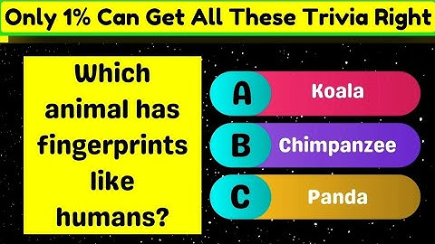 General Knowledge Quiz| Trivia Quiz| Quiz game | quiz time | gk quiz