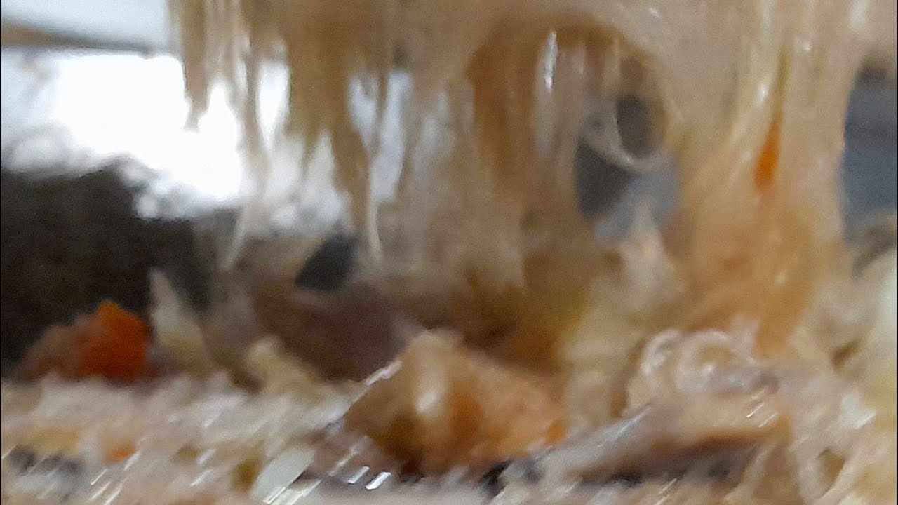 in-simple-way-of-living-life-watchhourgoal-youtube