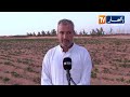 المنيعة عبد الرحمان قصة نجاح في الفلاحة من قلب الصحراء الجزائرية