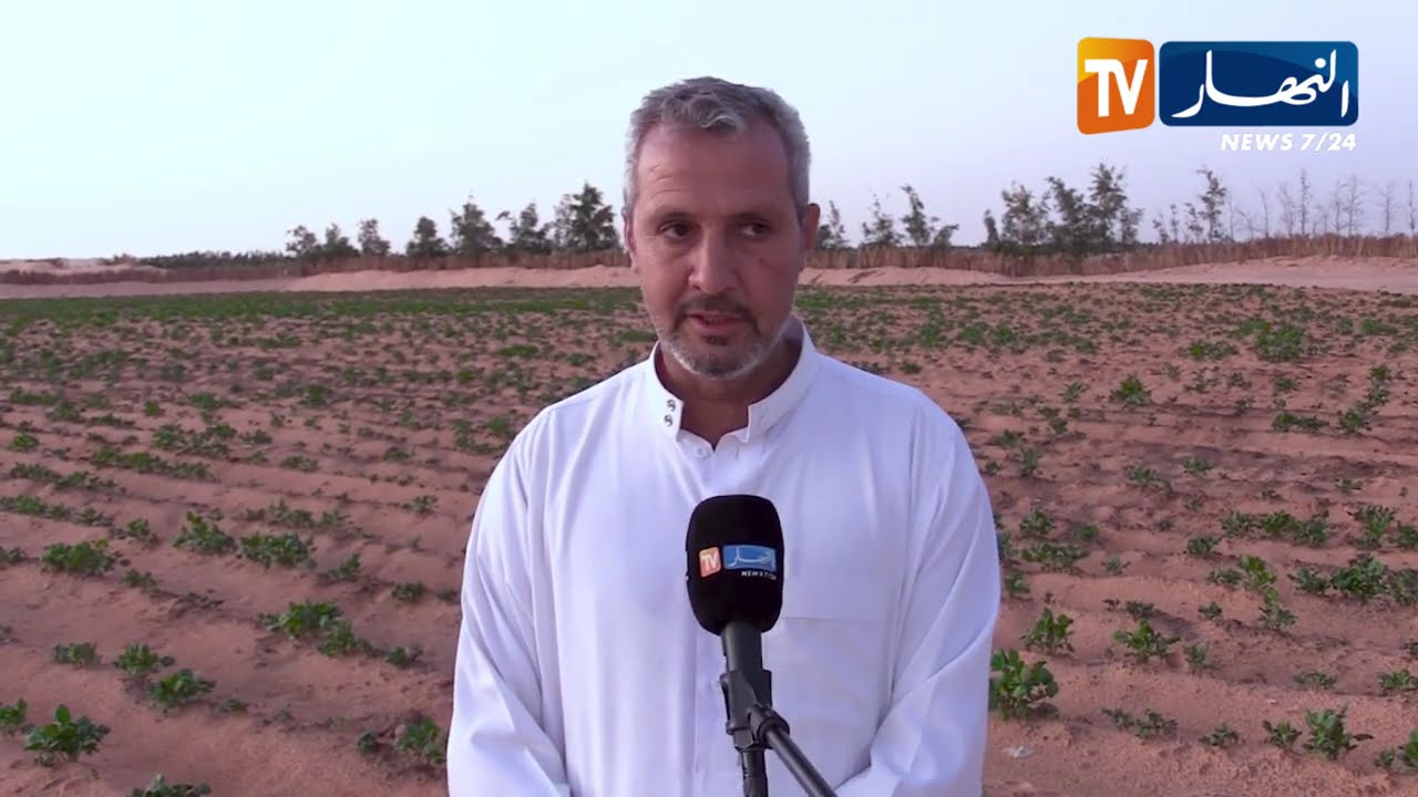 المنيعة: عبد الرحمان.. قصة نجاح في الفلاحة من قلب الصحراء الجزائرية