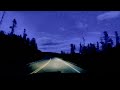 Warning: Bison Nearly Invisible at Night