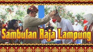 BEGINI PERASAAN SAYA SAAT DISAMBUT RAJA LAMPUNG