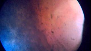 WP 20150829 013