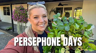 Planting the Winter Garden with Persephone Days in Mind! 🥬🥕🥦