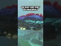 Why Reefbacks Never Attack Players In Subnautica? #shorts #subnautica